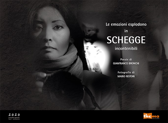 copertina di Schegge